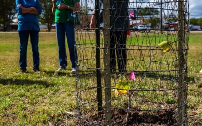 Texas Arbor Day Tree Dedication at Medina VFD
